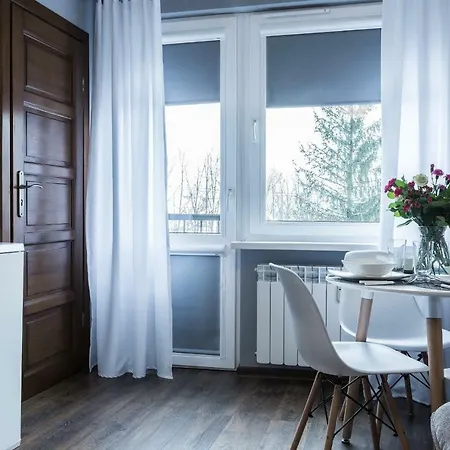 Апартаменты Apartament Swierkowy Potok *